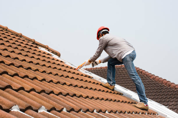 Fast & Reliable Emergency Roof Repairs in Pleasant Ridge, MI